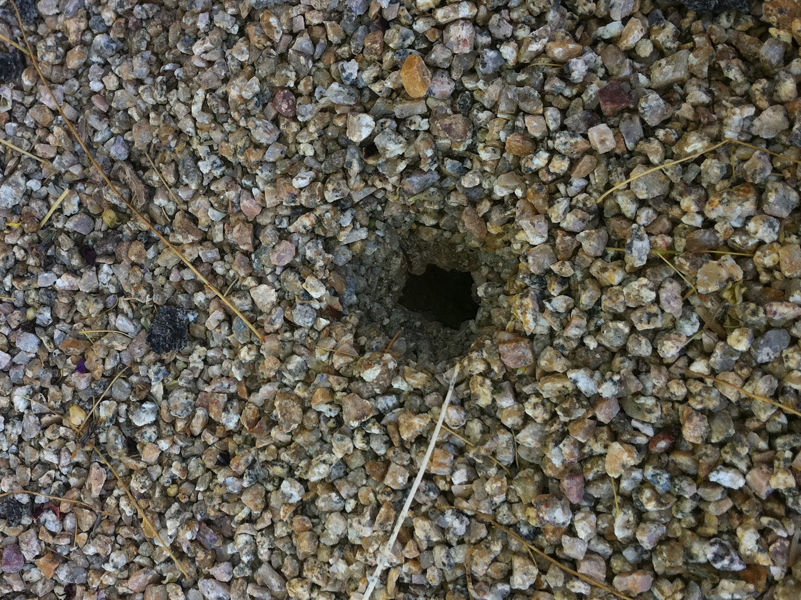 PV borer hole